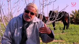نهار مع باردي الباحث مصطفى حمزة الموثق لتاريخ المدرسة الحمرية للرماية بمدينة الشماعية