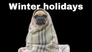 Holidays declared in Punjab