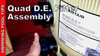 Pentair QUAD D.E.&reg; Cartridge Style Filter & Clean & Clear Plus  Filter Assembly