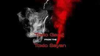 Toxic Gang song 