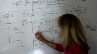 SAP OM Training Session