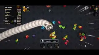 New World Record in Worms Zone.ioPro Skills ON FIREUnlimited KillsPro Gamer Domination