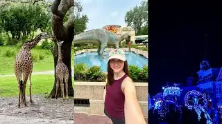 Animal Kingdom and Magic Kingdom | Walt Disney World September 2025