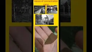 pieces of an comcentration camp in the netherlands (camp vught) #ww2 #ww2history #history