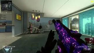 Pluto Black ops 2 Dark Matter