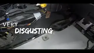 C6 Passenger Side Seat & Rug Removal