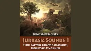 Dinosaur Sounds in the Nocturnal Forest: Stegosaurus, Bronto Saurus, Mamanchisaurus, Raptors,...