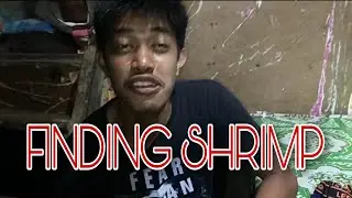 Catching Shrimp/crab @Otavi Bulan Sorsogon