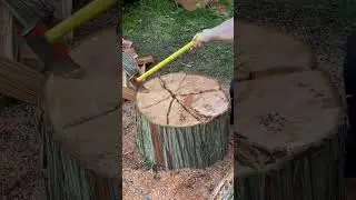 Splitting Rounds #wood #firewood #upthehill #axe