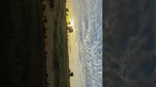 Nature 🌟 status ❤️ WhatsApp status 🔥#viral #shorts #youtube #nature #love #gujarati #sunset #farming
