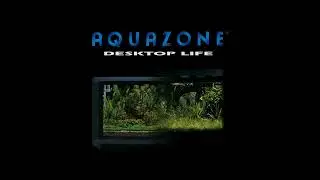 AquaZone; Desktop Life SEGA Saturn OST