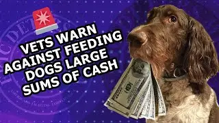 Pop Culture | Family Dog Eats $4,000 Cash!