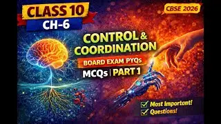 Class 10 Science Chapter 6 MCQs | Control and Coordination | 15 Exam Based MCQs | Part 1