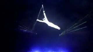 Circus №8 NBD EMPLOYMENT