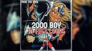 [FREE] LOOPKIT with Key and BPM - 2000 BOY (Cubeatz, Pvlace, Lil Uzi Type Samples)