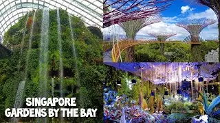 [ 4K ] Singapore | Gardens by the Bay | OCBC Skyway | Flower Dome | Cloud Forest | January 2022