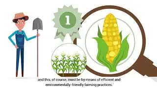 Penergetic Crop Production Overview
