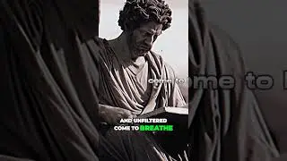 Unlocking the Power Within The Practice of Stoic Journaling #alpha#men#stoicism#journaling