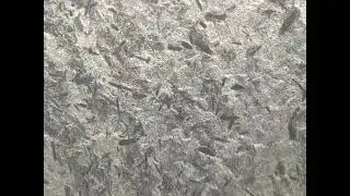 Exotic Quartzite Universe Gray 2cm Thick Slab Available