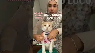 baju kucing lucu #shorts