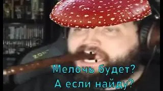 Грибей смотрит мухоморные фотожабы после стартрека