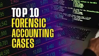 How Forensic Accountants Caught History's Biggest Fraudsters | Real Cases