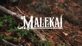 Mal&eacute;kai - Bleed For A Cause