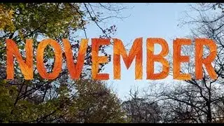 novel november | video diary