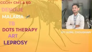 Dengue,Malaria,TB,Causes Symptoms& Prevention#healtheducation #community#education #nursinglecture 