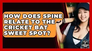 How Does Spine Relate To The Cricket Bat Sweet Spot? - Go-To Cricket Guide