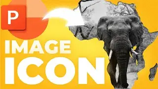 Add Images like a PRO in Your PPT