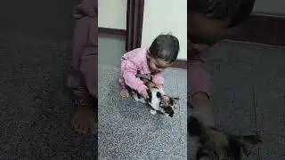Cat Lover! Like and Subscribe!