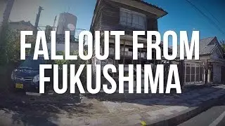 Fallout from Fukushima: The Radioactive Exclusion Zone