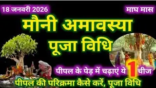 मौनी अमावस्या पूजा विधि। भूलकर भी ये गलती न करें अमावस्या तिथि पर। Mauni Amavasya kab hai 