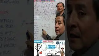 Vectores Colineales o Paralelos y Antiparalelos La Ley de Signos Seg&uacute;n su Sentido  #matem&aacute;ticas