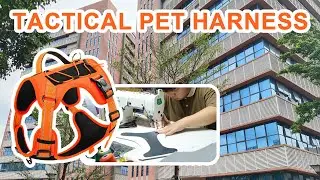 Tactical Performance: Tactical Dog Harness for Training, Control & Outdoor Protection!