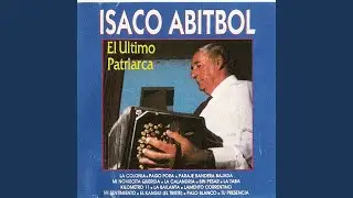 Palo blanco