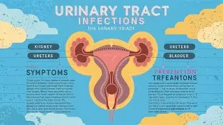 USMLE Urinary Tract Infection [UTI} High-yield Question Alerts