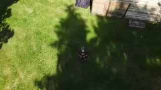 DJI Mavic Air 2 Rocket Effect