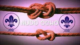 Nudo Ocho
