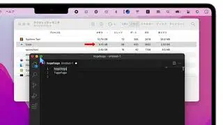 macOS 12.0.1 Monterey Memory Leak