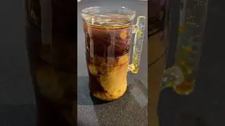 Coffee ASMR With My New Blown Glass Coffee Mug
