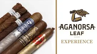The Aganorsa Experience