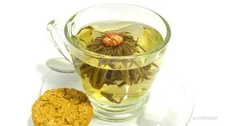 Timelapse Rotting Tea Blossom