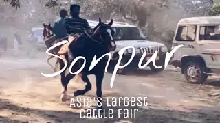 A small video from Sonpur (Asia's largest cattle fair)