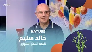Nature - 20/11/2025 - خالد سليم - تقليم اشجار الشوارع