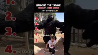 Ranking the insane gorilla Prank funny  Moments 😂 #shorts #prank #ranking