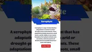 What is xerophyte?#shorts