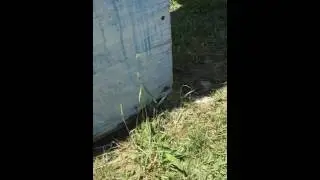Advancing on the enemy spawn