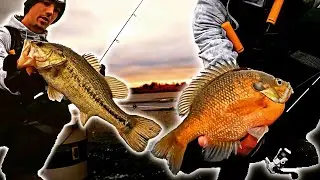 ICE Fishing Central Illinois for BIG Panfish!! | Big Ice Bluegill and Bass